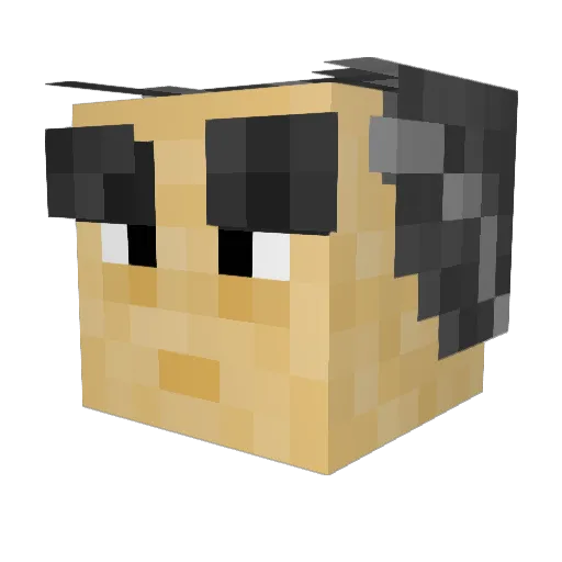 theholyjosh Minecraft avatar head, 3D render