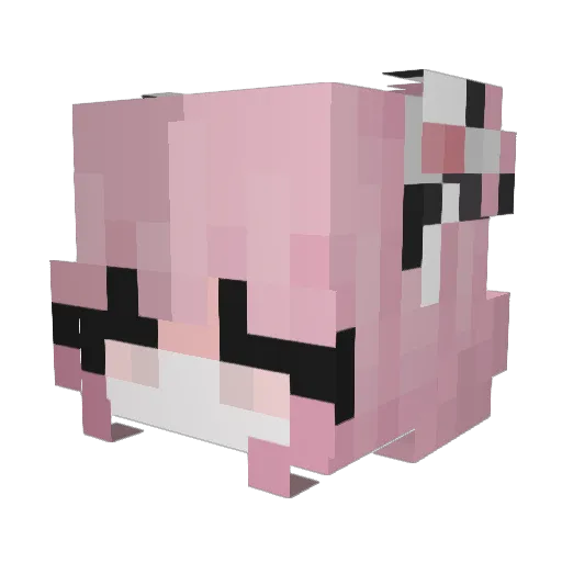 thehotaunty Minecraft avatar head, 3D render