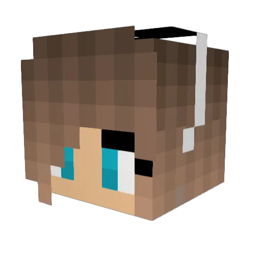 thehound123 Minecraft avatar head, 3D render