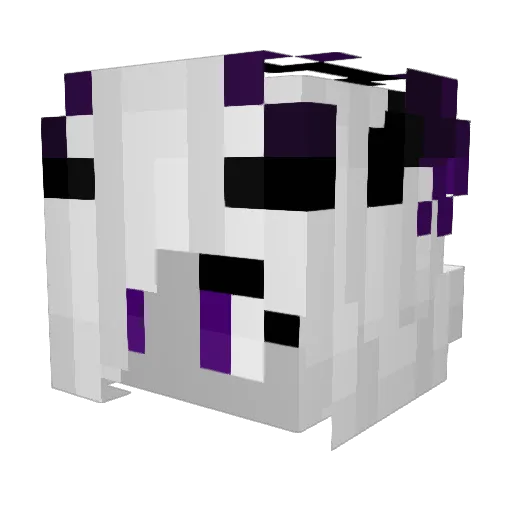 theidiotishere Minecraft avatar head, 3D render