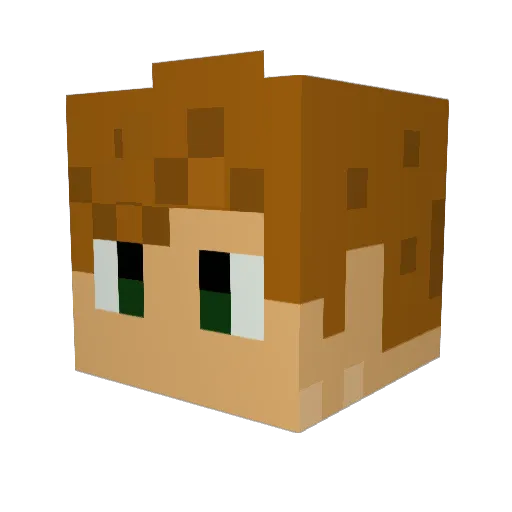 thekillbrothers Minecraft avatar head, 3D render