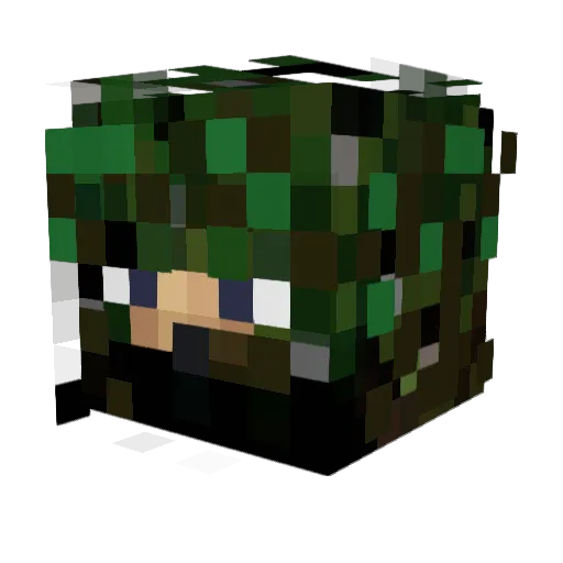 thekillershrimp2 Minecraft avatar head, 3D render