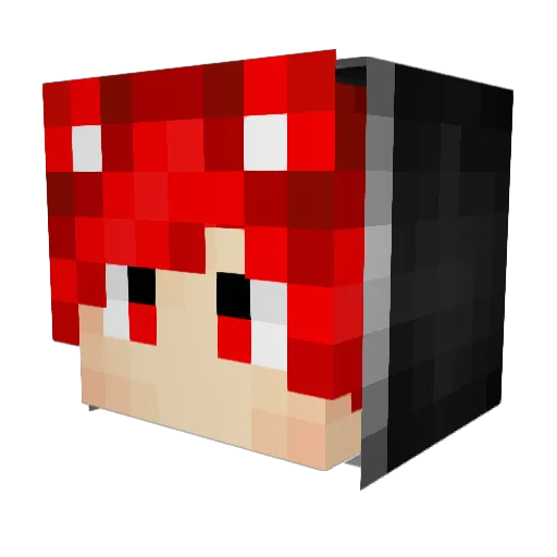 thel33tking Minecraft avatar head, 3D render