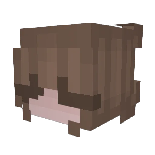 thelastbottle Minecraft avatar head, 3D render