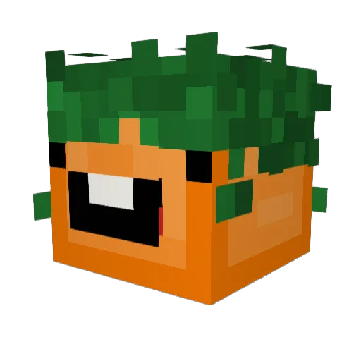 thelastcarrot Minecraft avatar head, 3D render