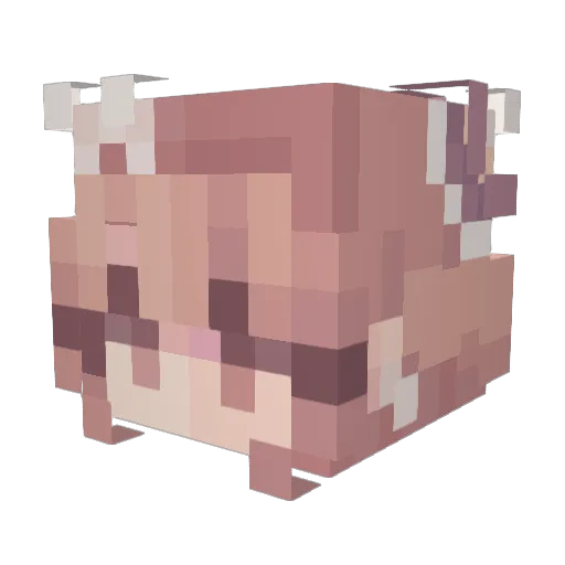 thelittlemoth Minecraft avatar head, 3D render