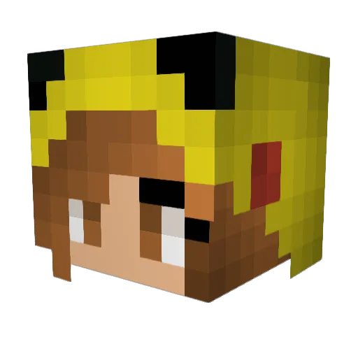 themNUGGETSdoug Minecraft avatar head, 3D render