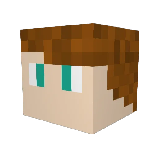 themepark2020 Minecraft avatar head, 3D render