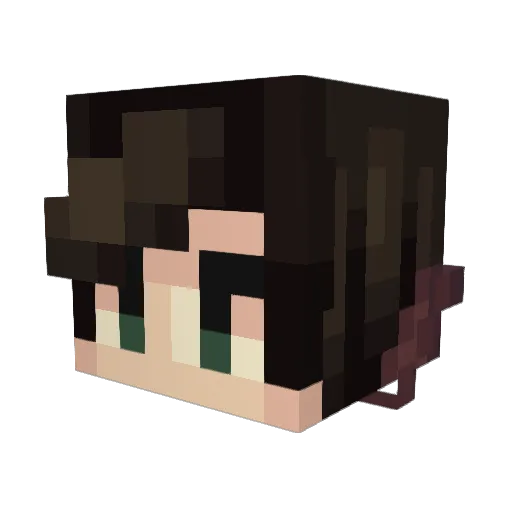 theminepro2002 Minecraft avatar head, 3D render