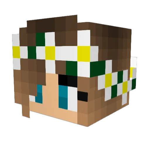 theminer0906 Minecraft avatar head, 3D render