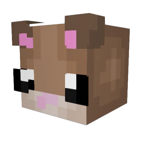 themiseryibleed Minecraft avatar head, 3D render