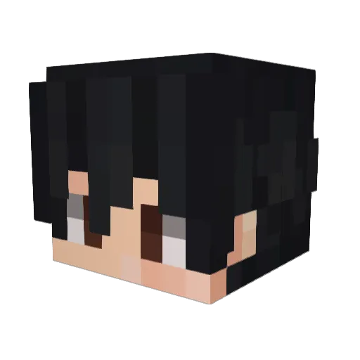 themudkipagent Minecraft avatar head, 3D render