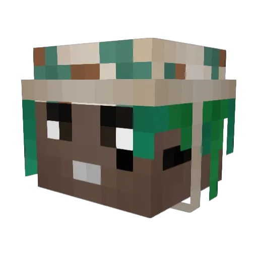 thenewguy775 Minecraft avatar head, 3D render