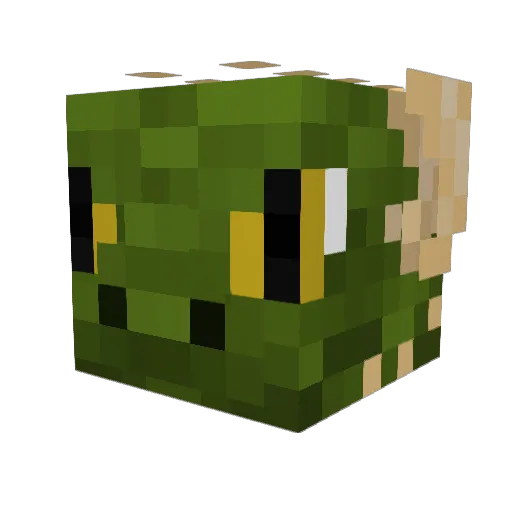 thenewme_jasper Minecraft avatar head, 3D render