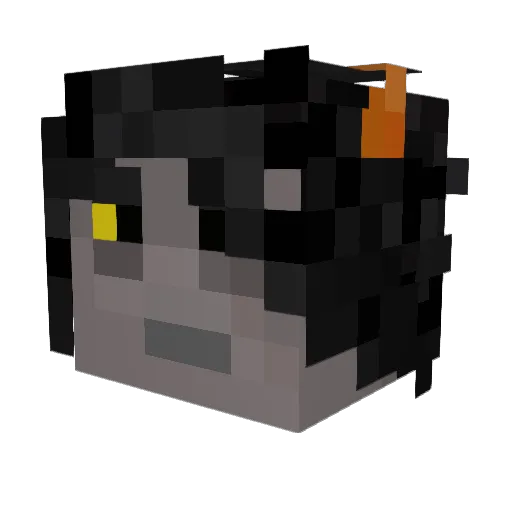 thenimblefox Minecraft avatar head, 3D render