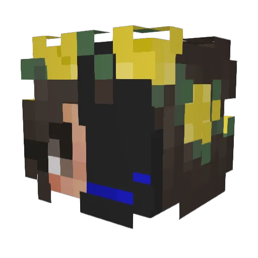 thenoobmaster77 Minecraft avatar head, 3D render