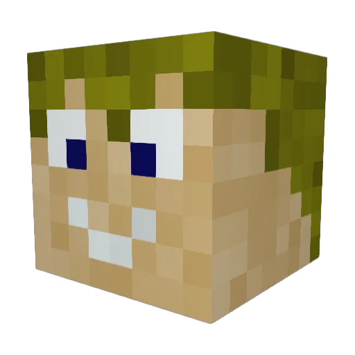theo8474 Minecraft avatar head, 3D render