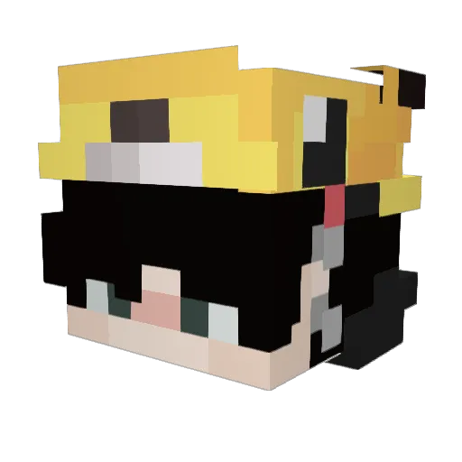 theo_kiwi1 Minecraft avatar head, 3D render