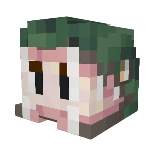 theonlyaine Minecraft avatar head, 3D render