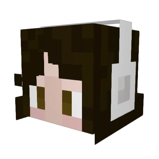 theop27 Minecraft avatar head, 3D render