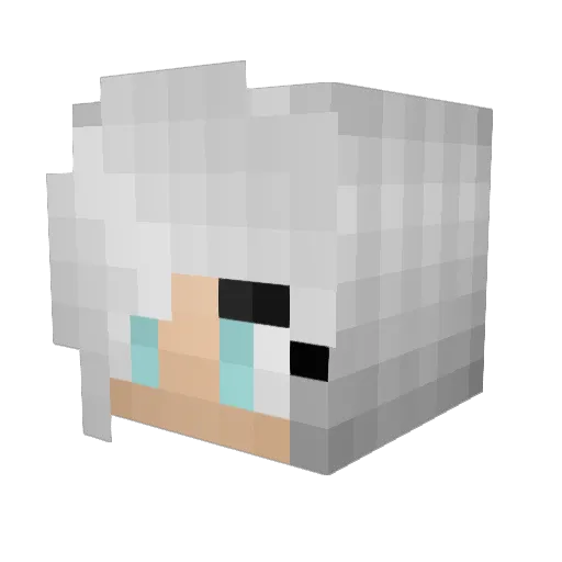 theorangecopic Minecraft avatar head, 3D render