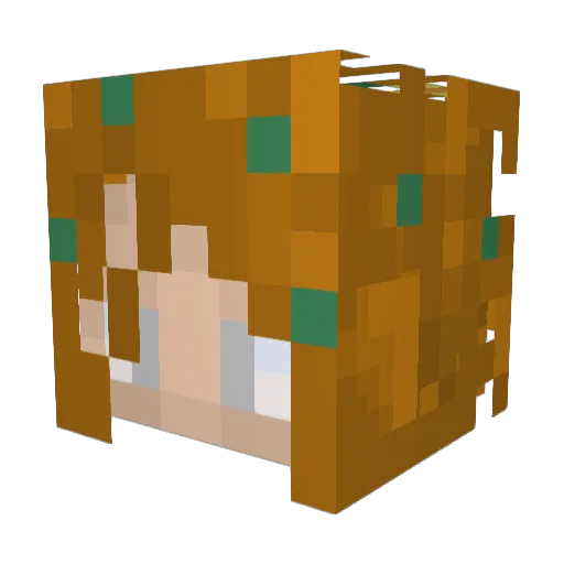 thepintobean44 Minecraft avatar head, 3D render