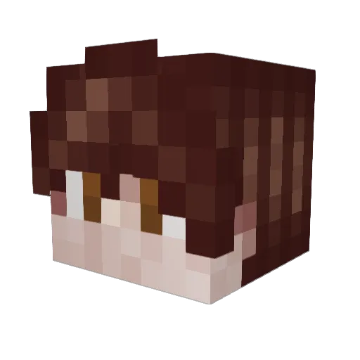 thepixelplayer1 Minecraft avatar head, 3D render