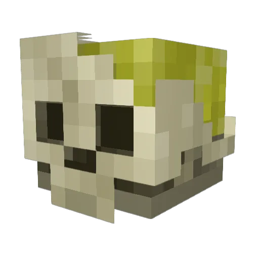 theplantmann Minecraft avatar head, 3D render