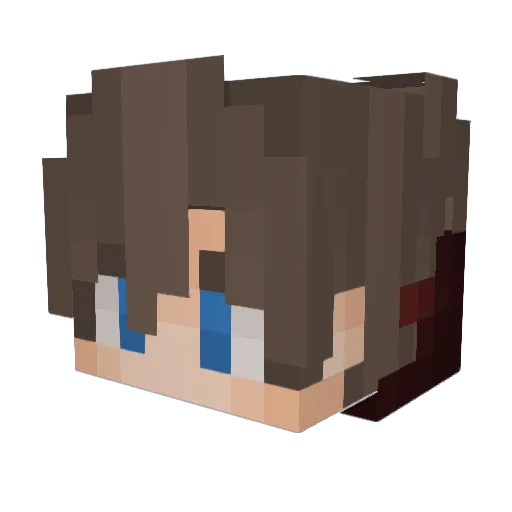 thepuninsher Minecraft avatar head, 3D render