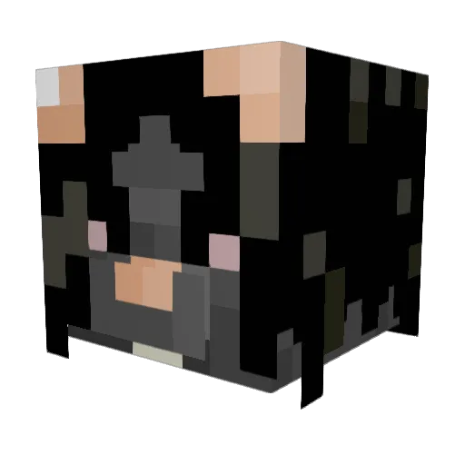 theracc00nn Minecraft avatar head, 3D render