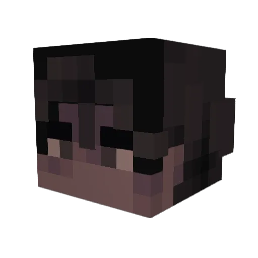 therapeutics Minecraft avatar head, 3D render