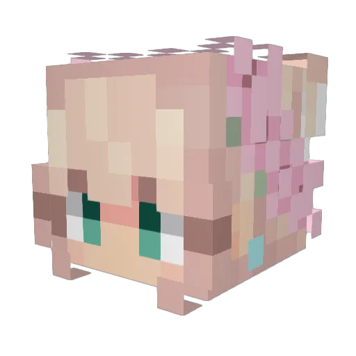 therapper2016 Minecraft avatar head, 3D render