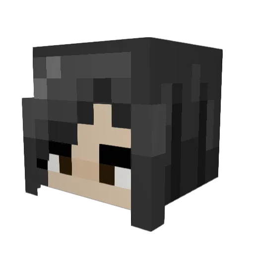 thereadingbear Minecraft avatar head, 3D render
