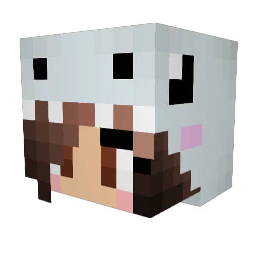 therealawesome03 Minecraft avatar head, 3D render
