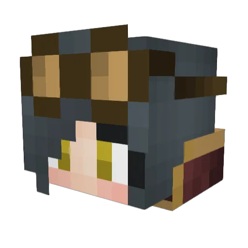 therealkimshady Minecraft avatar head, 3D render