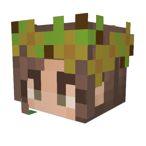 therealretasu Minecraft avatar head, 3D render