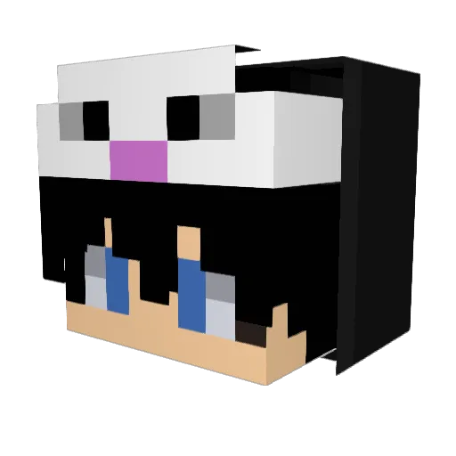 therealyannick19 Minecraft avatar head, 3D render