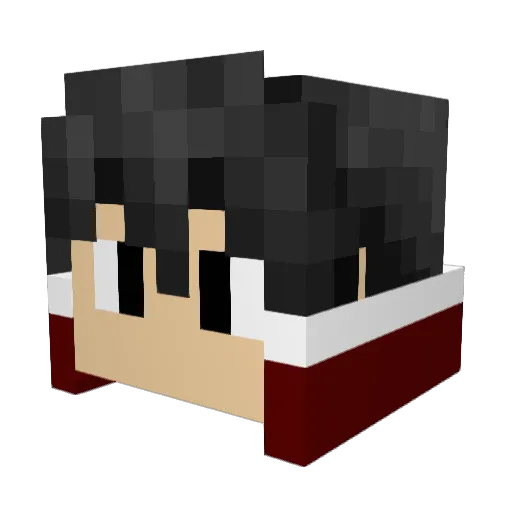 thereaper2994 Minecraft avatar head, 3D render