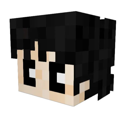 thereelbeans Minecraft avatar head, 3D render