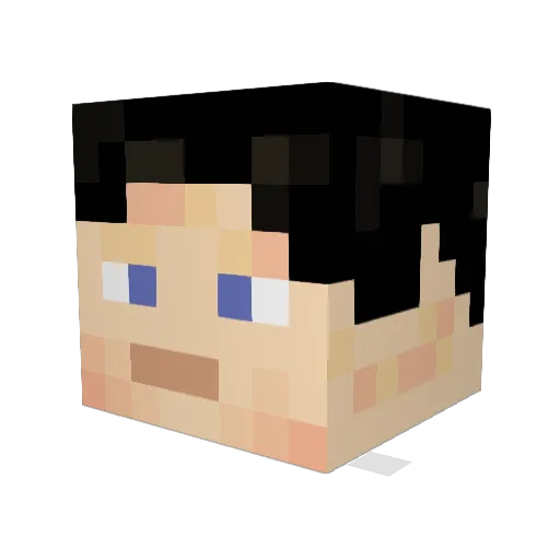 theriderflog Minecraft avatar head, 3D render
