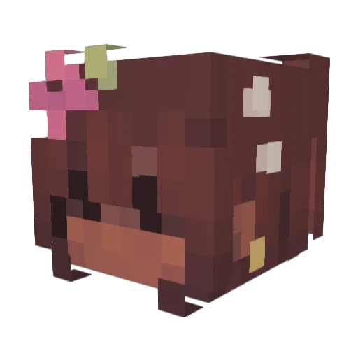thesarberthings Minecraft avatar head, 3D render