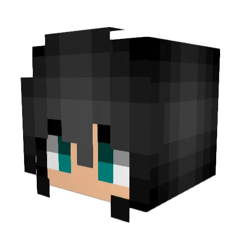 theshinham Minecraft avatar head, 3D render