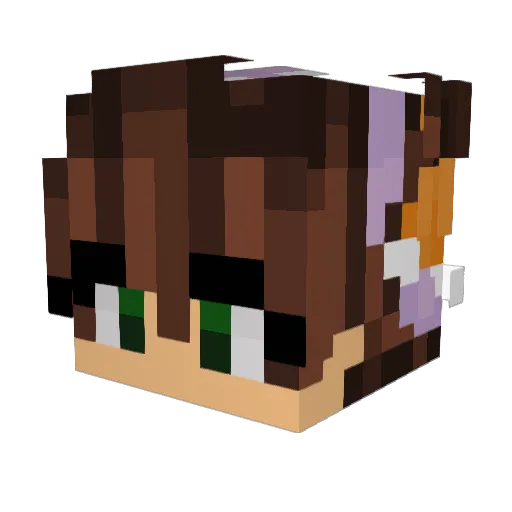 theshypigion Minecraft avatar head, 3D render