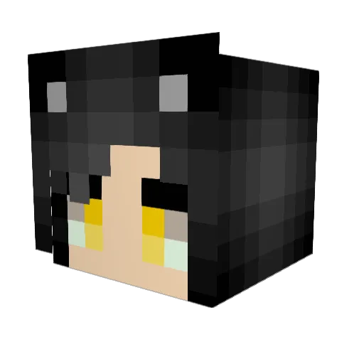 thesilentwinds Minecraft avatar head, 3D render