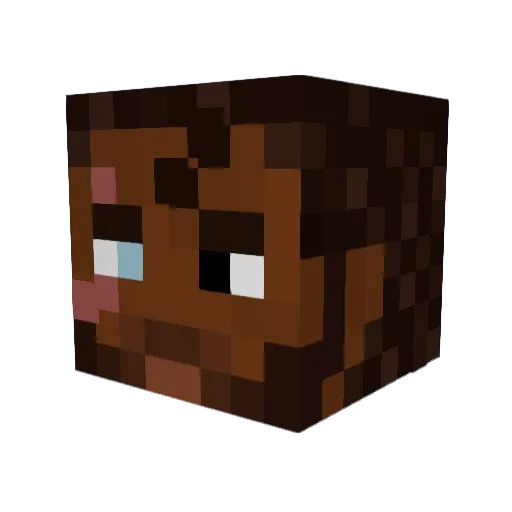 thesky678 Minecraft avatar head, 3D render