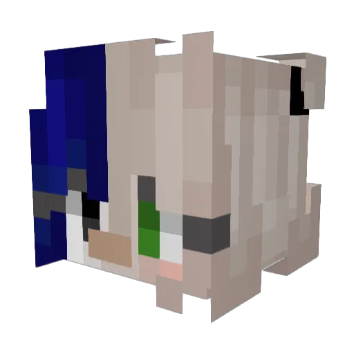 theslimer Minecraft avatar head, 3D render