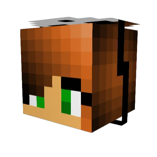 thesolorgamedbz Minecraft avatar head, 3D render