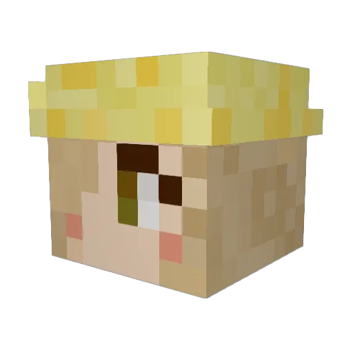 theswampyfrog Minecraft avatar head, 3D render