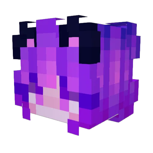 thetkitty Minecraft avatar head, 3D render