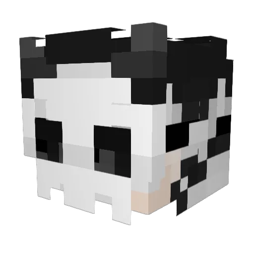 thetomatogamer1 Minecraft avatar head, 3D render